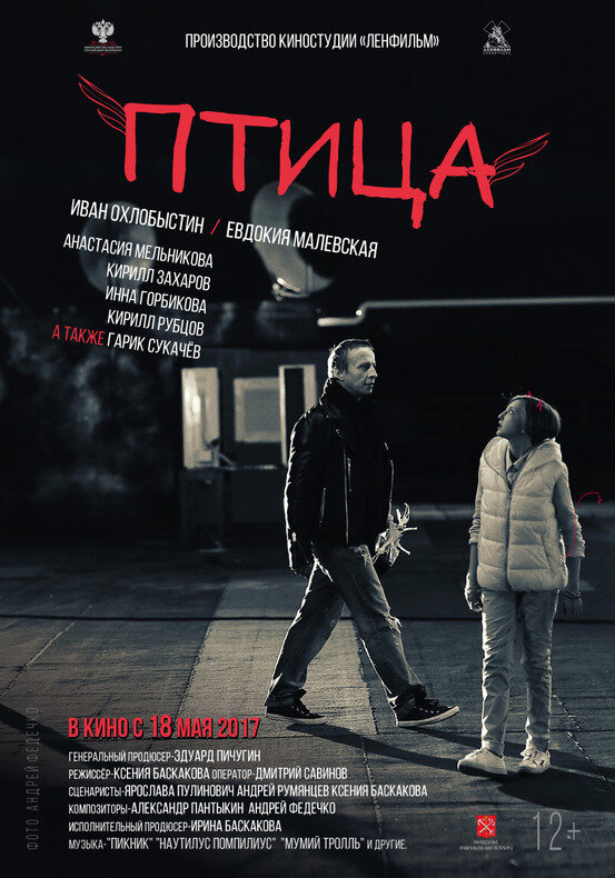 Птица (2016) постер