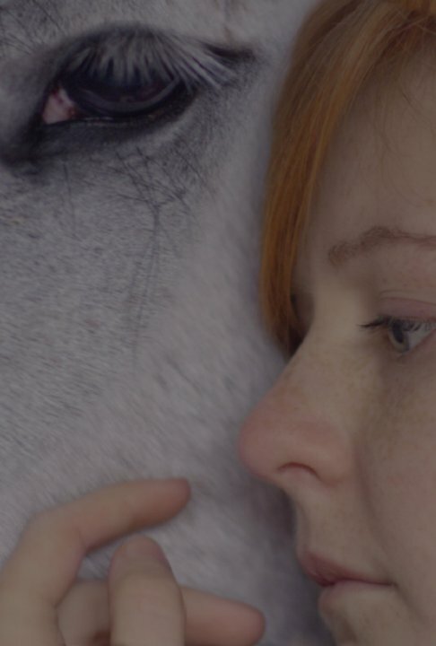 The Wishing Horse (2014) постер